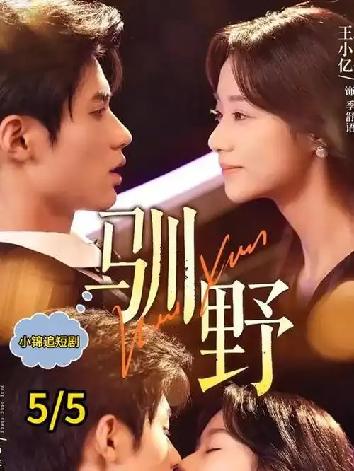 雨落长安古装权谋剧手机在线看